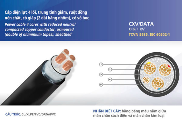 Cấu trúc cáp ngầm trung thế CXV/DATA Việt Thái