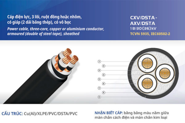 Cấu trúc cáp ngầm trung thế CXV/DSTA-W
