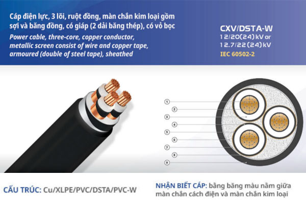 Cáp ngầm trung thế CXV/DSTA-W Việt Thái