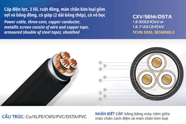 Cấu trúc cáp ngầm trung thế CXV/SEhh/DSTA